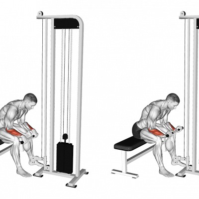 Reverse Unterarm-Curls mit dem Kabelzug und Theraband