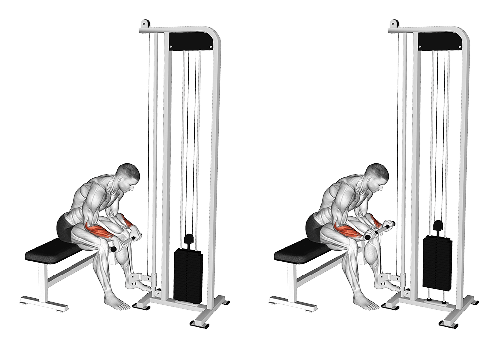 Reverse Unterarm-Curls mit dem Kabelzug und Theraband