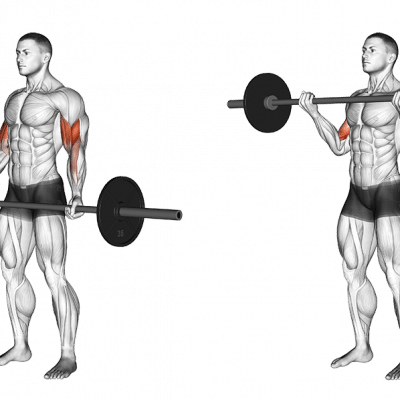Langhantel-Curls mit schulterbreitem Griff