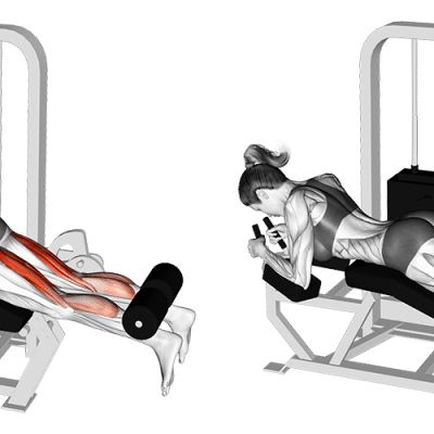 Leg Curls im Liegen