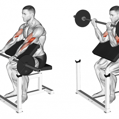 Preacher Curls mit der Langhantel