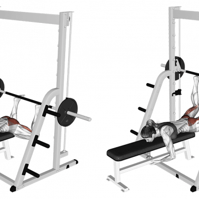 Reverse Hyperextensions an der Multipresse