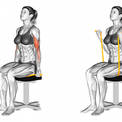 Theraband Bizeps-Curls im Sitzen