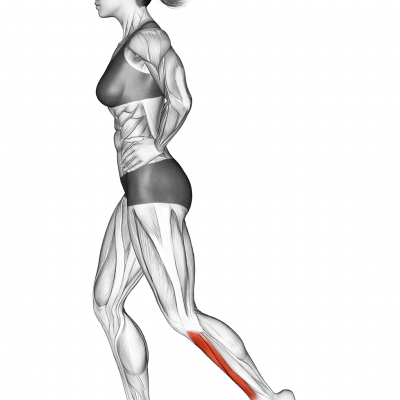 Umgekehrtes Zehendrücken