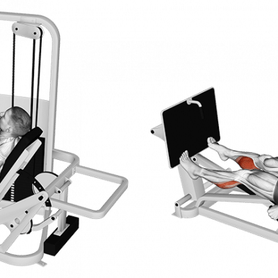 Wadenheben an der horizontalen Beinpresse