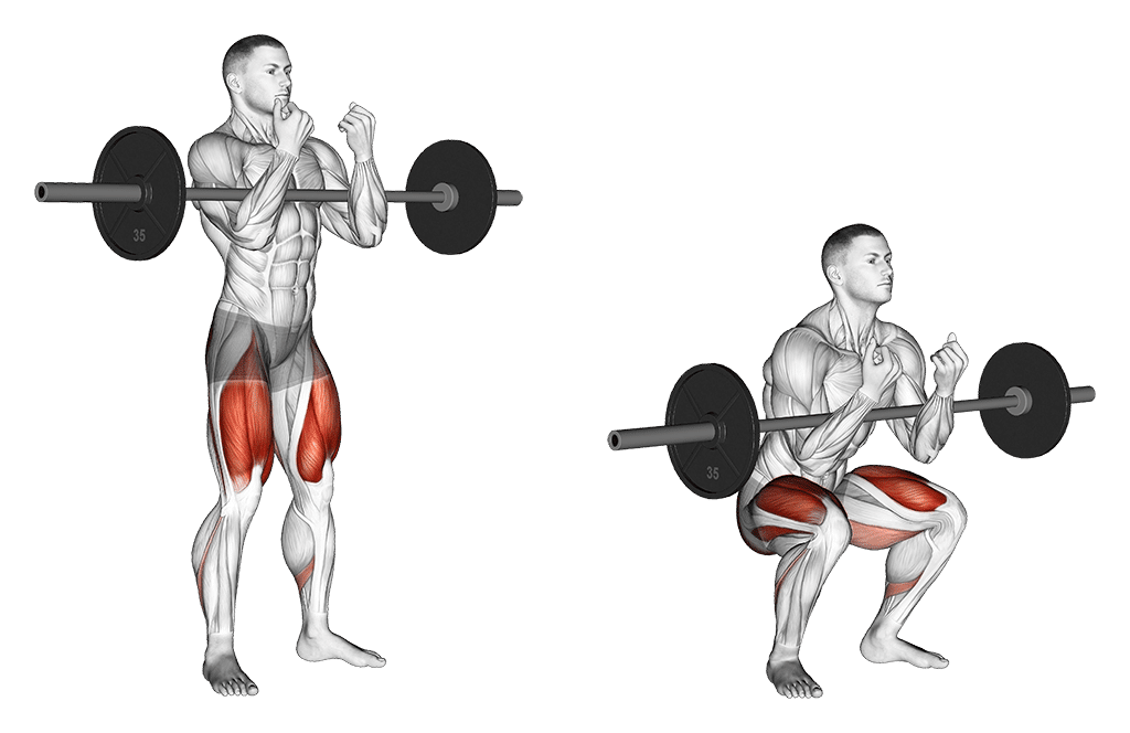 Zercher Squat